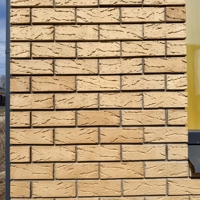 Кирпич лицевой Кощаково 1НФ солома с накатом