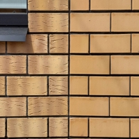 Кирпич лицевой Кощаково 1НФ сахара галич